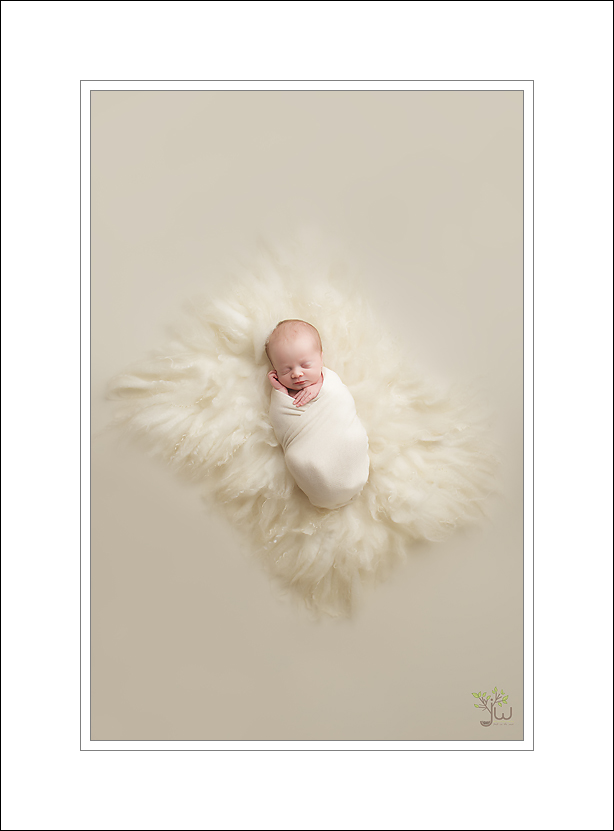 Best Seattle Baby Photographer
